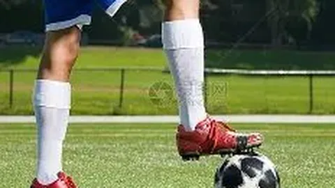 体育改革挑战中的高水平运动队政策探讨续篇之二