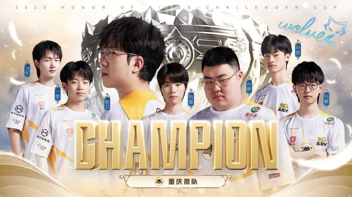 球治理结构